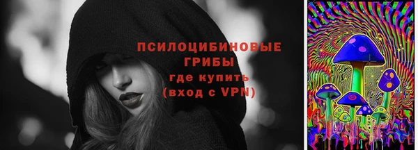 молекула духа Богданович