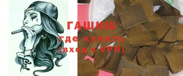 молекула духа Богданович