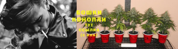ECSTASY Новозыбков