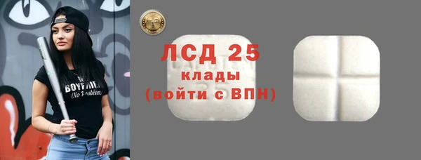 молекула духа Богданович