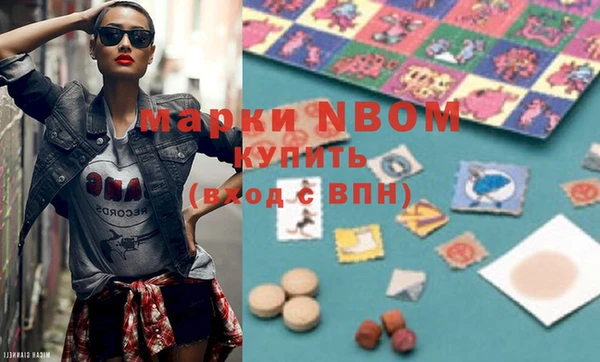молекула духа Богданович