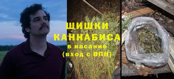 прущие крисы Новодвинск