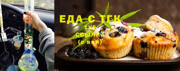 молекула духа Богданович