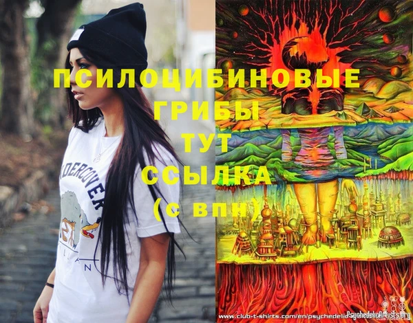 молекула духа Богданович